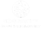 No Gravity Games & Development
